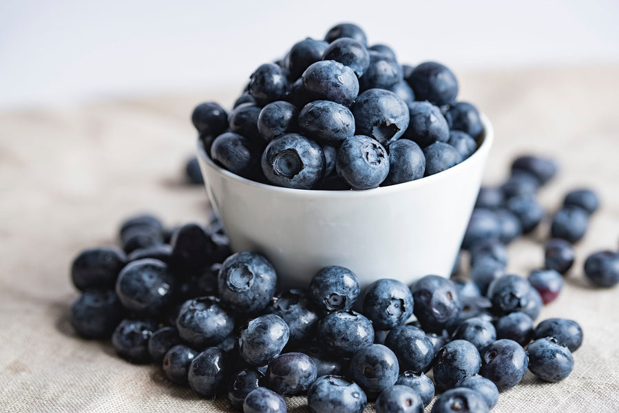 Unveiling the Benefits of Bilberry: Nature's Vision Enhancer