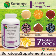 Load image into Gallery viewer, Delicious ISO-OPC Grape Flavored Antioxidant Powder Drink Mix- 90 servings
